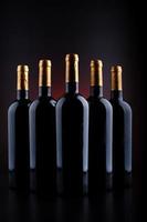 Wine bottles with black background and red photo