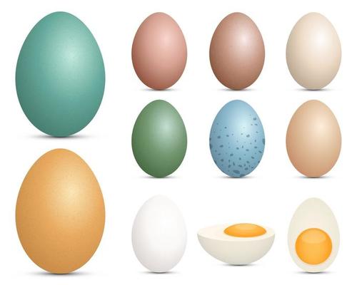 Eggs set vector design illustration isolated on white background