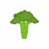 Vector illustration of broccoli icon in flat style. Fresh green vegetable isolated image on white background. Colored healthy organic foods concept in cartoon design.