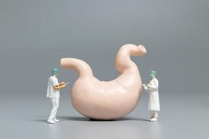 Miniature doctor and nurse observing and discussing the human stomach, science and medical concept photo