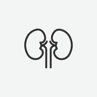 riñón, órgano aislado icono para diseño gráfico y web vector