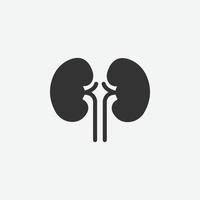 riñón, órgano aislado icono para diseño gráfico y web vector