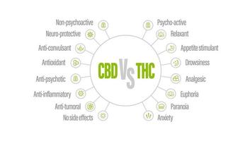 White poster with comparison CBD and THC. CBD vs THC, list of differences with icons vector