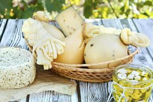 Different types of cheeses on a wooden background against the background of green foliage photo