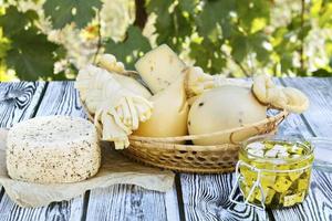 Different types of cheeses on a wooden background against the background of green foliage photo