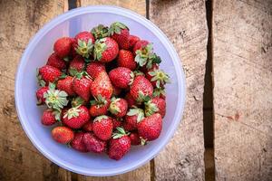 Strawberries in a plastic bowl photo