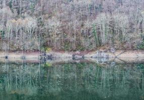 bosque en invierno reflejado en el río foto