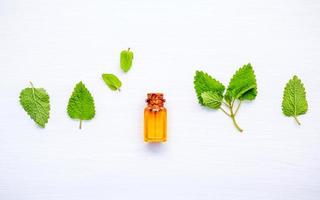 Herbal essential oil photo