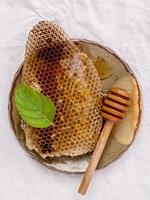 Honeycomb on a ceramic plate photo