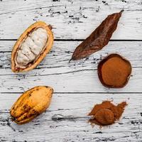 Las mazorcas de cacao en madera blanca en mal estado foto