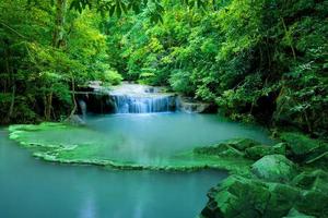 Waterfall in green forest photo