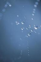 Raindrops on the spiderweb on a rainy day in spring season photo