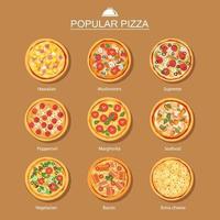 diferente set de pizza vector