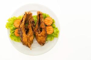 Fried fish on white plate photo