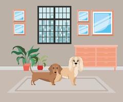 cute little dogs in the house room vector