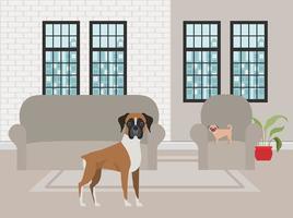 cute little dogs in the livingroom vector