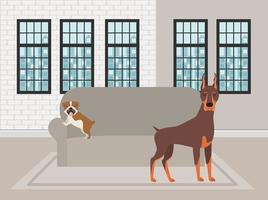 cute little dogs in the livingroom vector