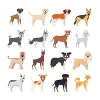 bundle of dog breeds group vector