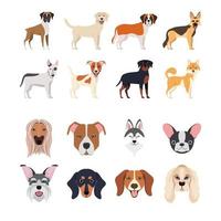 bundle of dog breeds group vector