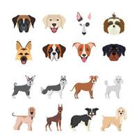 bundle of dog breeds group vector