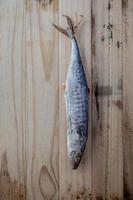 Fish hanging to dry on a wood background photo