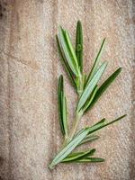Rosemary on a rustic wood background photo
