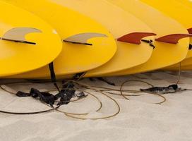 Row of surfboards