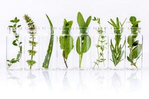 Viles of herbs on white photo