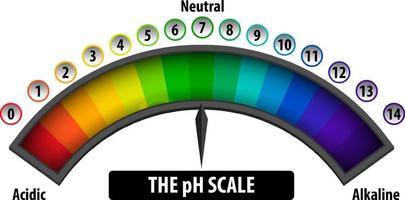 el diagrama de escala de ph sobre fondo blanco vector