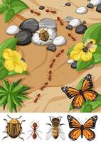 Top view of different types of insect in the garden scene vector