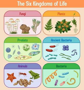 Science poster of six kingdoms of life vector