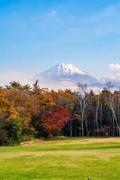 Landscape at Mt. Fuji, Japan photo