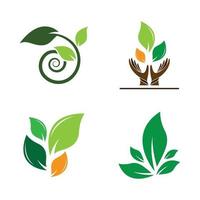 imagenes de logo de hoja vector