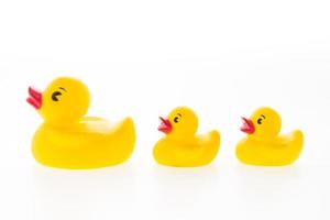 Yellow rubber duck toys photo