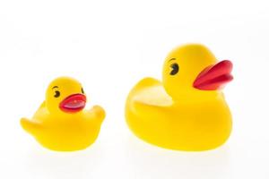 Yellow rubber ducks on white background