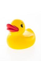 Yellow rubber duck on white background photo