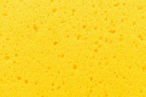 Sponge texture for background photo