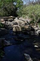 Stream with rocks among trees photo