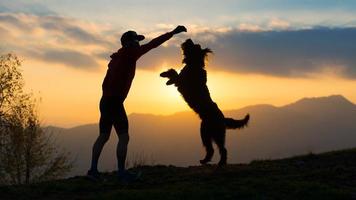 Big dog on two paws to take a biscuit from a man, silhouette with background at colorful sunset