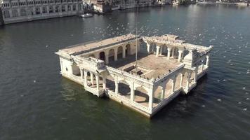 Bird sanctuary at Arsi Vilas landmark, Pichola lake, Udaipur. Flock flying. video