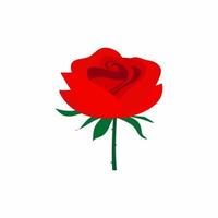 Red rose flower isolated on white background. Beautiful rose with green leaves on a long green stem. Flat vector decorative design elements. Illustration greeting card and invitation of the wedding