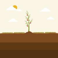 The apple tree grows up on the ground. Growing tree seed with green leafs. The concept of planting. Young sprouts rising from good fertilized soil. Modern flat cartoon style vector illustration