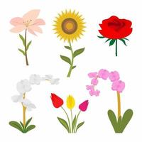 conjunto de estilo de icono de flores de colores. colección de naturaleza flor primavera y verano en jardín. incluyó los iconos como rosa, tulipán, orquídea y girasol. ilustración vectorial diseño plano vector