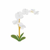 White orchid flowers and green leaves. Stunningly beautiful blooming orchids in the garden. Flower arrangement design on white background. Flat cartoon style. Vector floral illustration