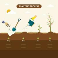 plantando semillas germinadas en el suelo. Cómo cultivar un árbol a partir de la semilla en el jardín fácil paso a paso. manzano, plántula de jardinería. concepto de infografía vectorial del proceso de siembra en diseño plano vector