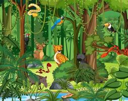 Wild animal cartoon character in the forest scene vector