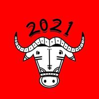2021 feliz año nuevo. buey, vaca, cabezas de toro aisladas sobre fondo rojo. mascota del calendario lunar del año chino oriental. postal de vector de tarjeta de felicitación china, pancarta, póster. ilustración para el calendario