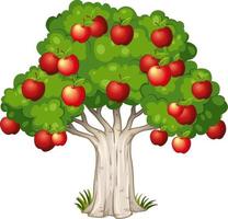 Apple tree isolated on white background vector