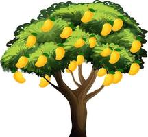 Yellow mango tree isolated on white background vector