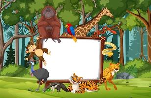 Blank banner in the rainforest scene with wild animals vector